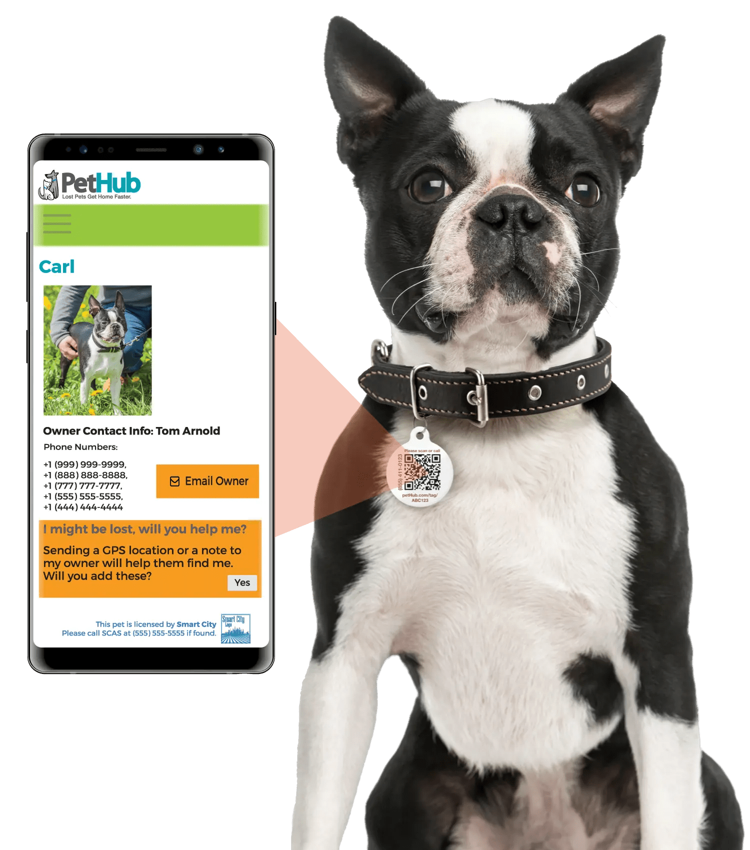 PetHub QR Pet ID Tag – Classic Aluminum - FloofChonk