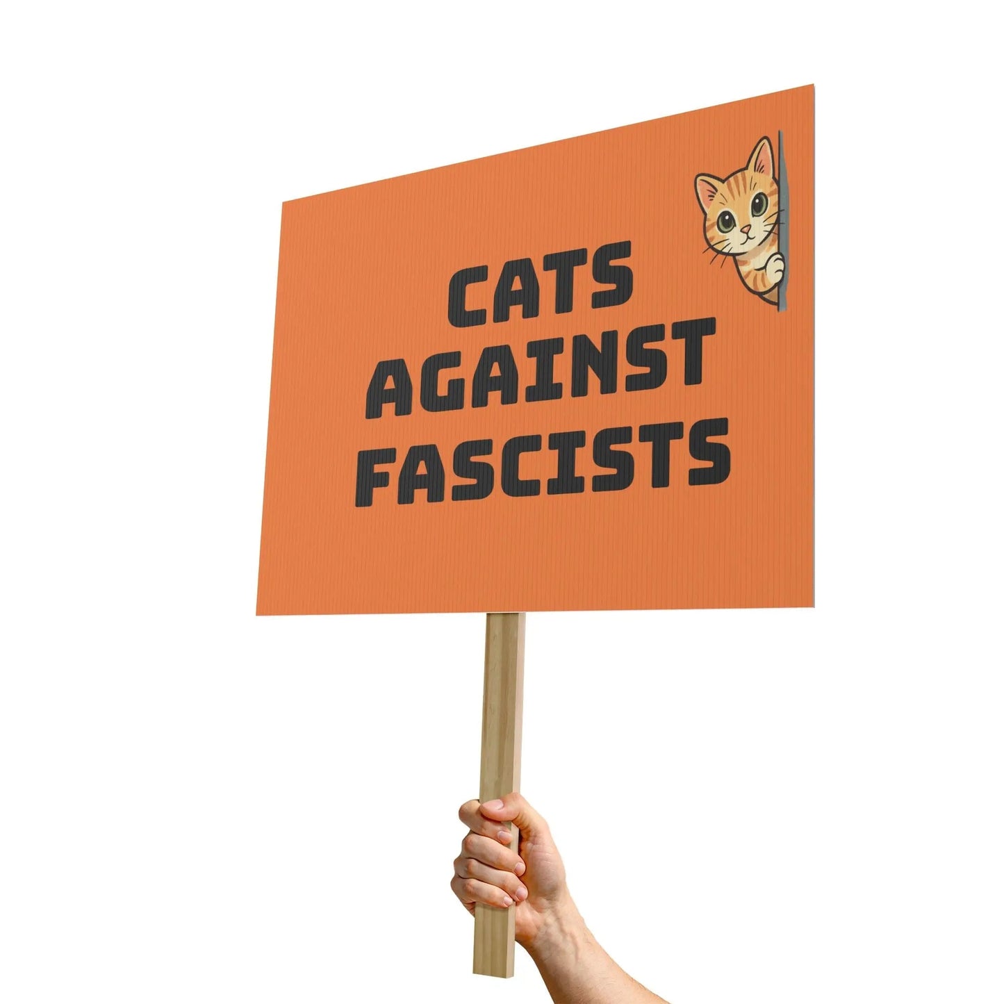 Protest Sign - "Cats Against Fascists" Political Rally Placard with Cute Cat Illustration - FloofChonk
