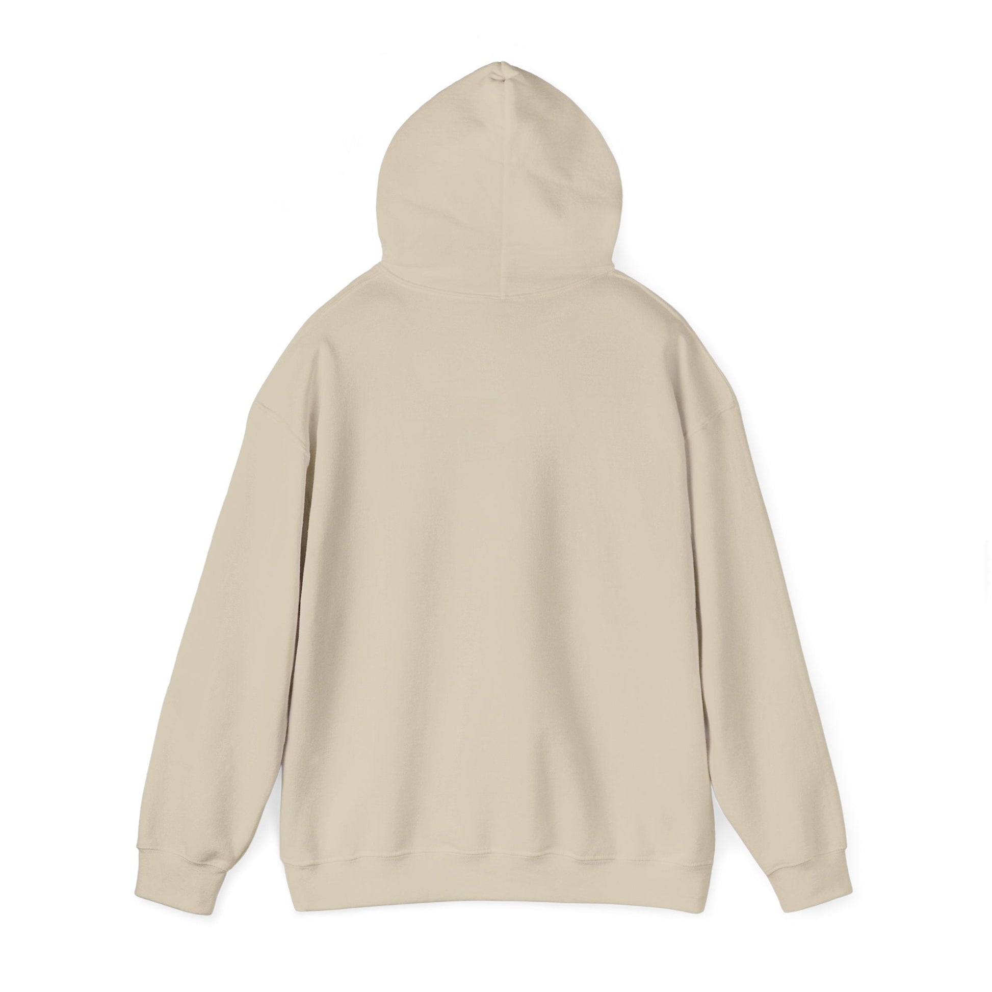 Rainbow Campfire Hoodie - 'Campfire Makes Everything Better' Cozy Graphic Sweatshirt - FloofChonk