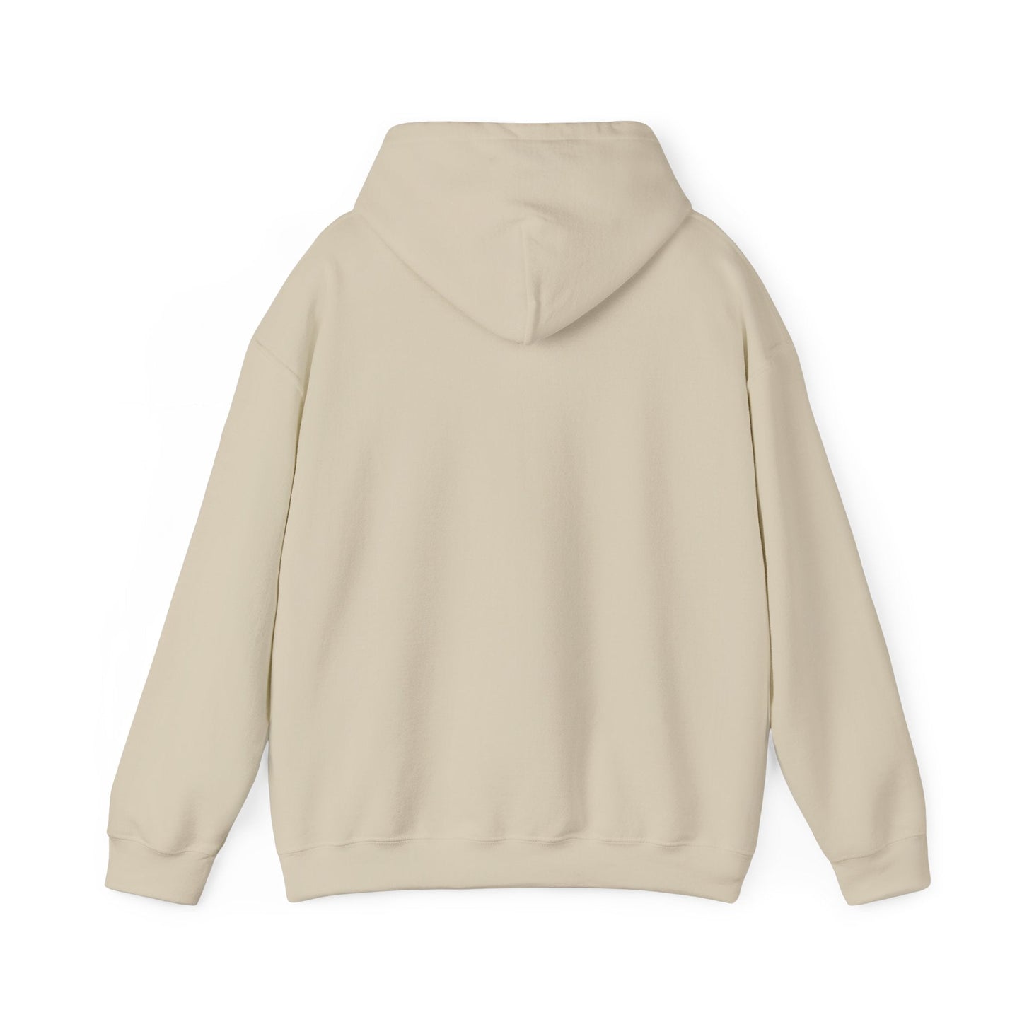 Rainbow Campfire Hoodie - 'Campfire Makes Everything Better' Cozy Graphic Sweatshirt - FloofChonk