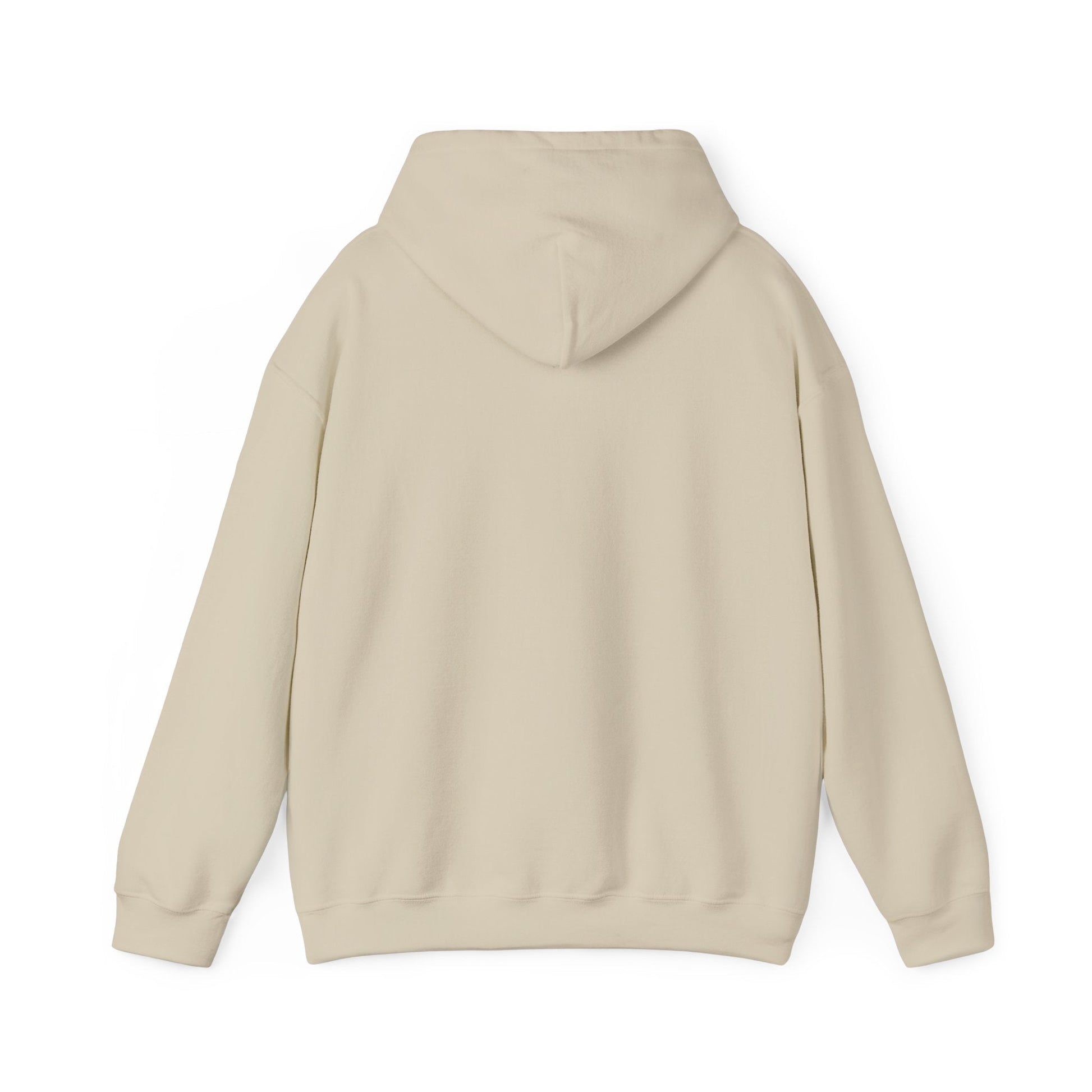 Rainbow Campfire Hoodie - 'Campfire Makes Everything Better' Cozy Graphic Sweatshirt - FloofChonk