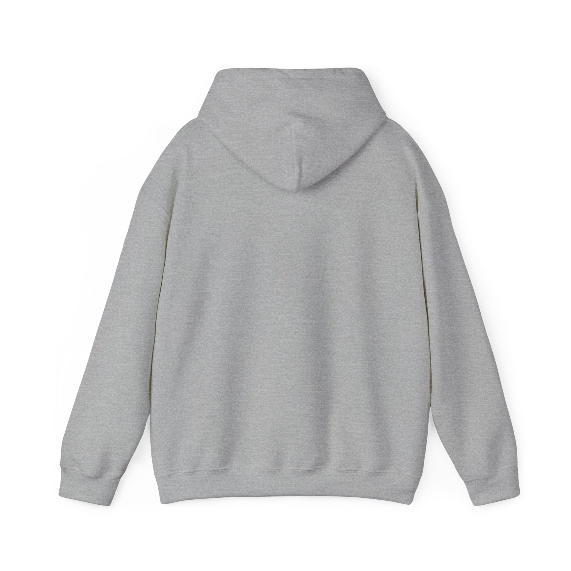 Rainbow Campfire Hoodie - 'Campfire Makes Everything Better' Cozy Graphic Sweatshirt - FloofChonk
