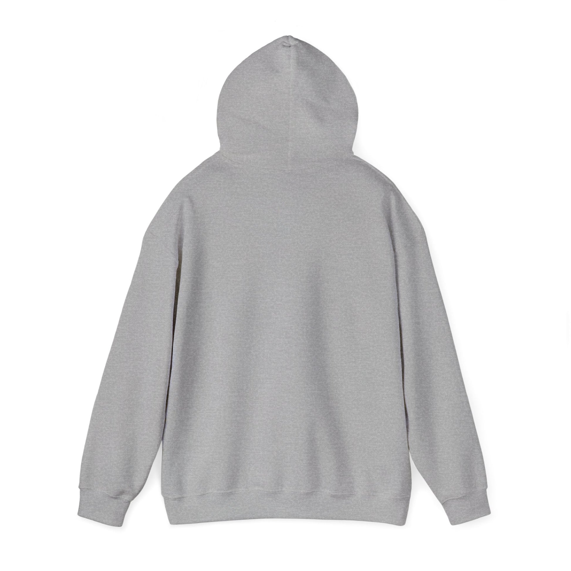 Rainbow Campfire Hoodie - 'Campfire Makes Everything Better' Cozy Graphic Sweatshirt - FloofChonk