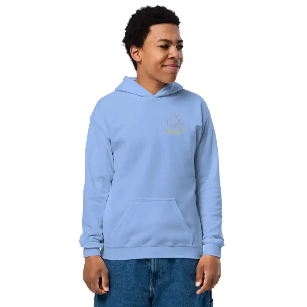 Rainbow cat youth heavy blend hoodie - FloofChonk