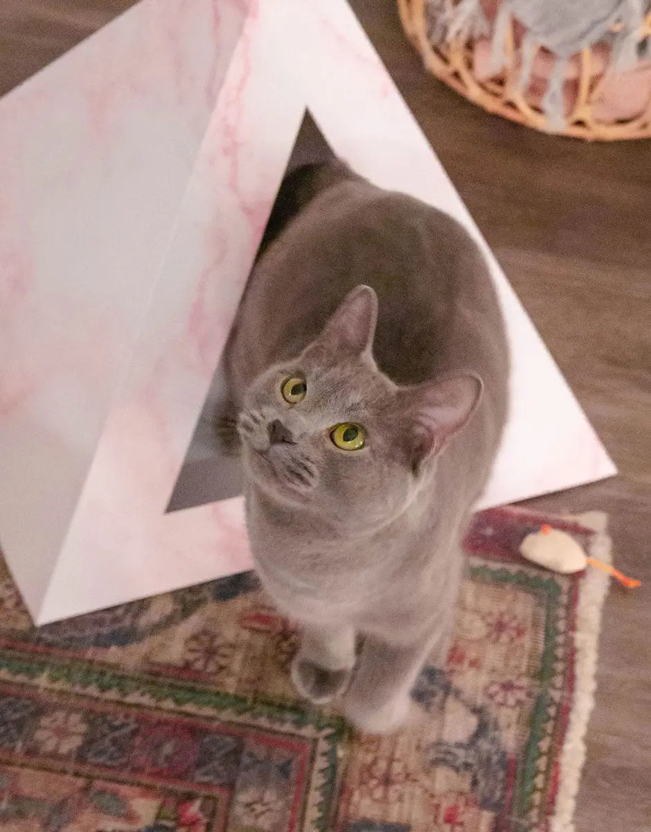 'Rose Quartz' Cardboard Cat Pyramid - FloofChonk