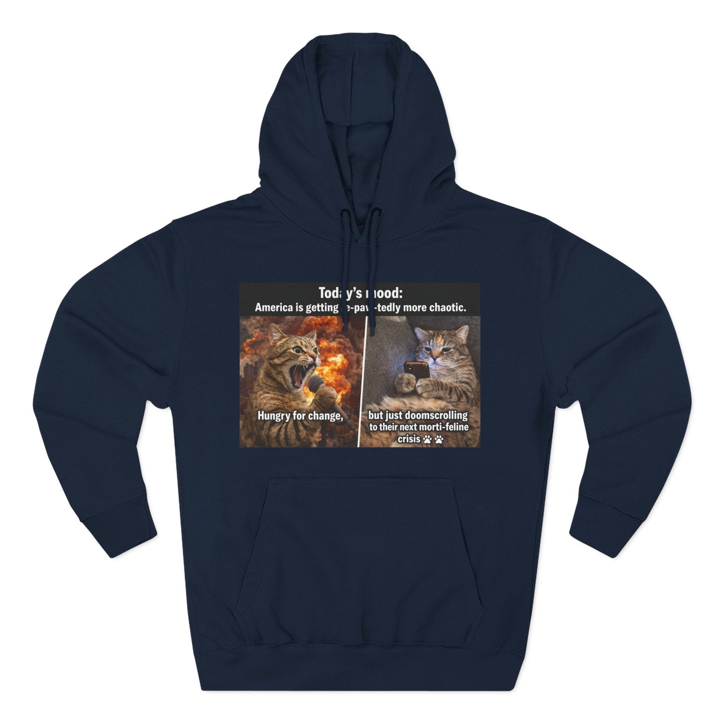 Three - Panel Cat Meme Hoodie — 'Today’s Mood' Feline Chaos Graphic Sweatshirt - FloofChonk