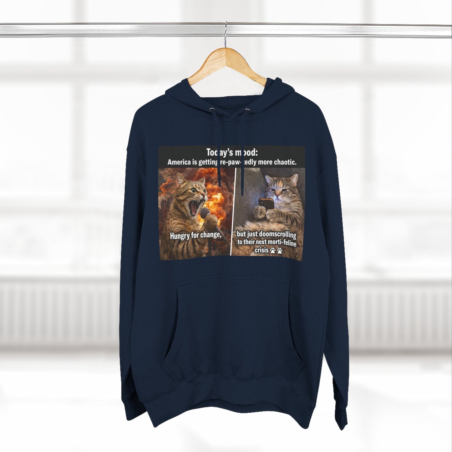 Three - Panel Cat Meme Hoodie — 'Today’s Mood' Feline Chaos Graphic Sweatshirt - FloofChonk
