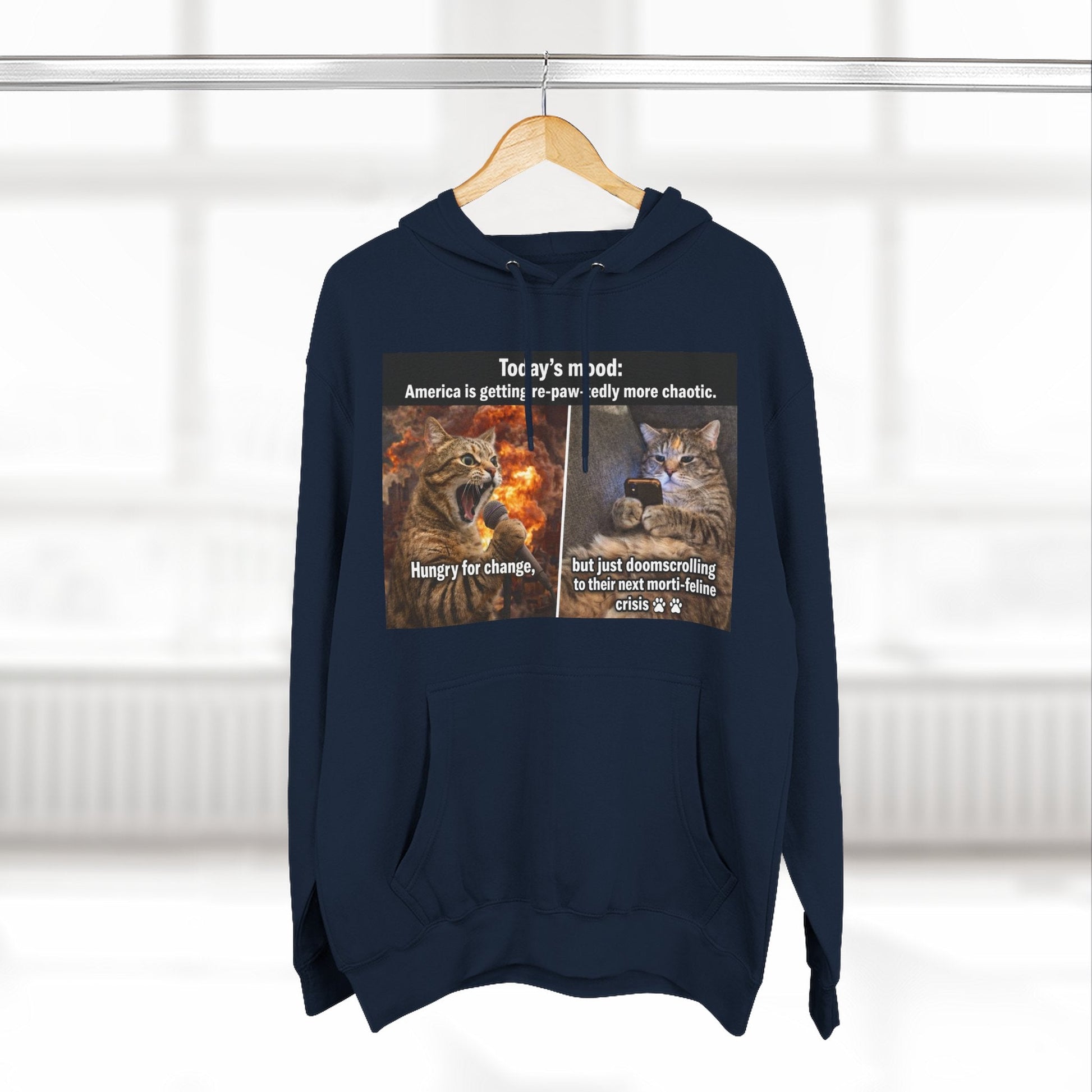 Three - Panel Cat Meme Hoodie — 'Today’s Mood' Feline Chaos Graphic Sweatshirt - FloofChonk