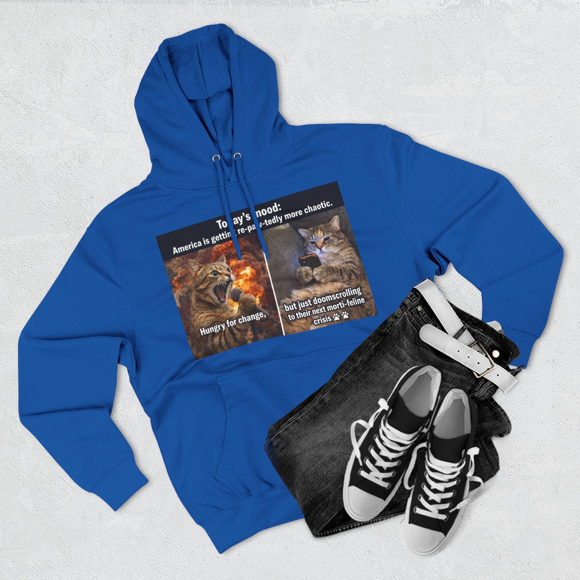 Three - Panel Cat Meme Hoodie — 'Today’s Mood' Feline Chaos Graphic Sweatshirt - FloofChonk