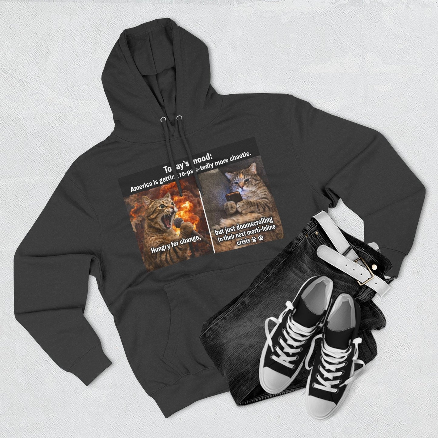 Three - Panel Cat Meme Hoodie — 'Today’s Mood' Feline Chaos Graphic Sweatshirt - FloofChonk