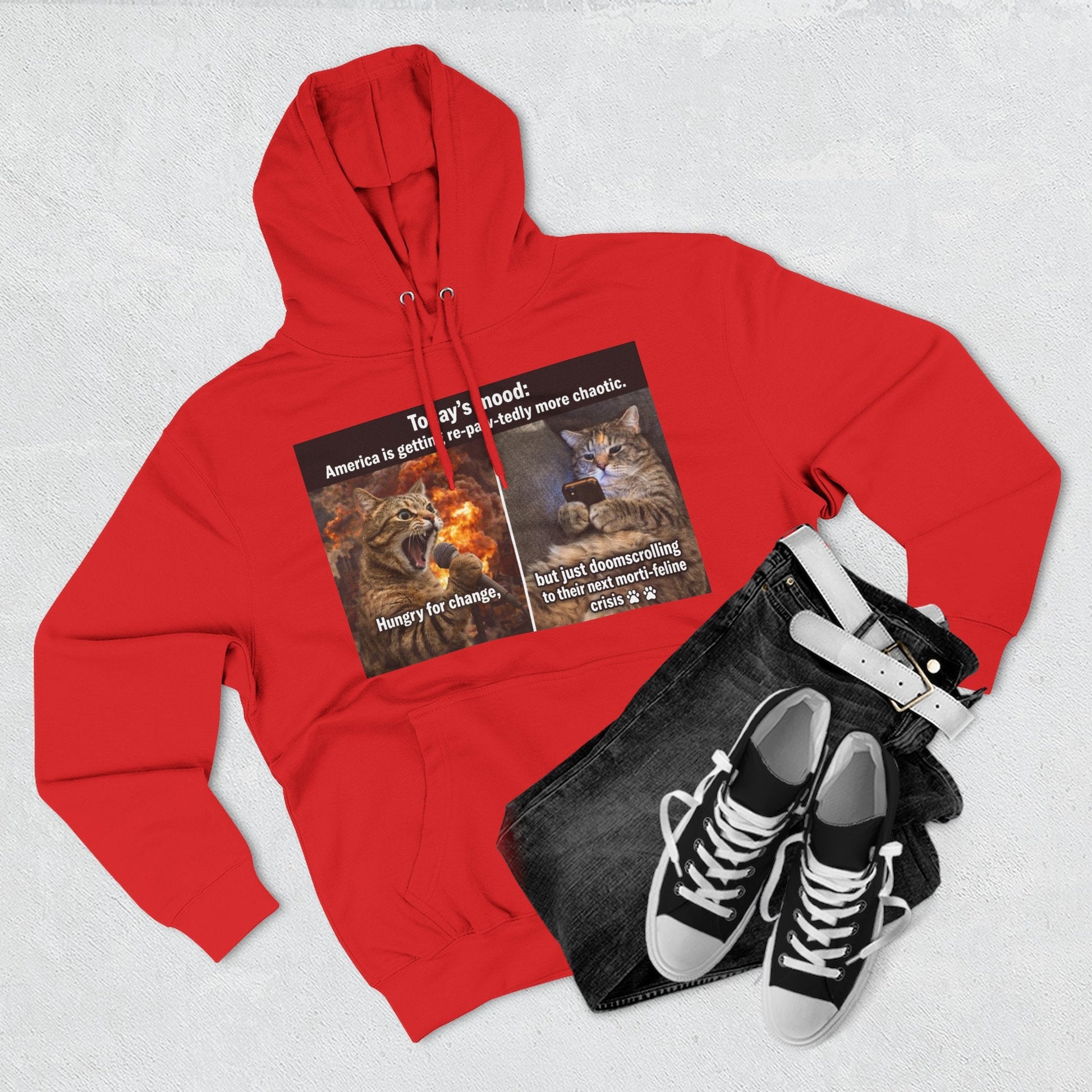 Three - Panel Cat Meme Hoodie — 'Today’s Mood' Feline Chaos Graphic Sweatshirt - FloofChonk