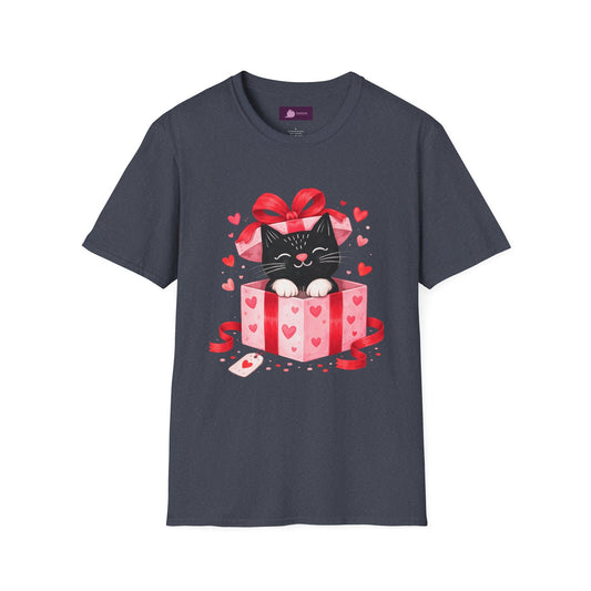 Valentine Kitty Gift Box T-Shirt - FloofChonk