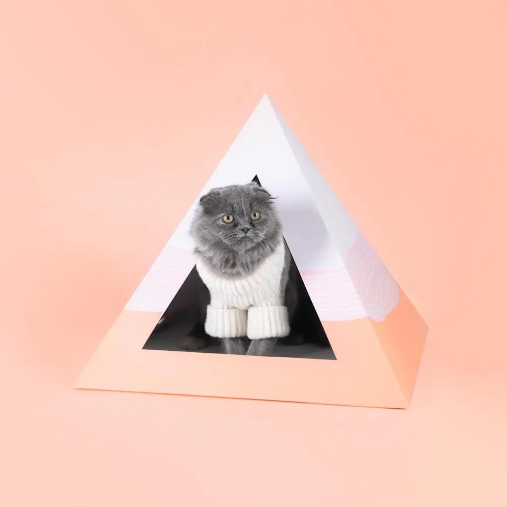 'Wavey' Cardboard Cat Pyramid - FloofChonk