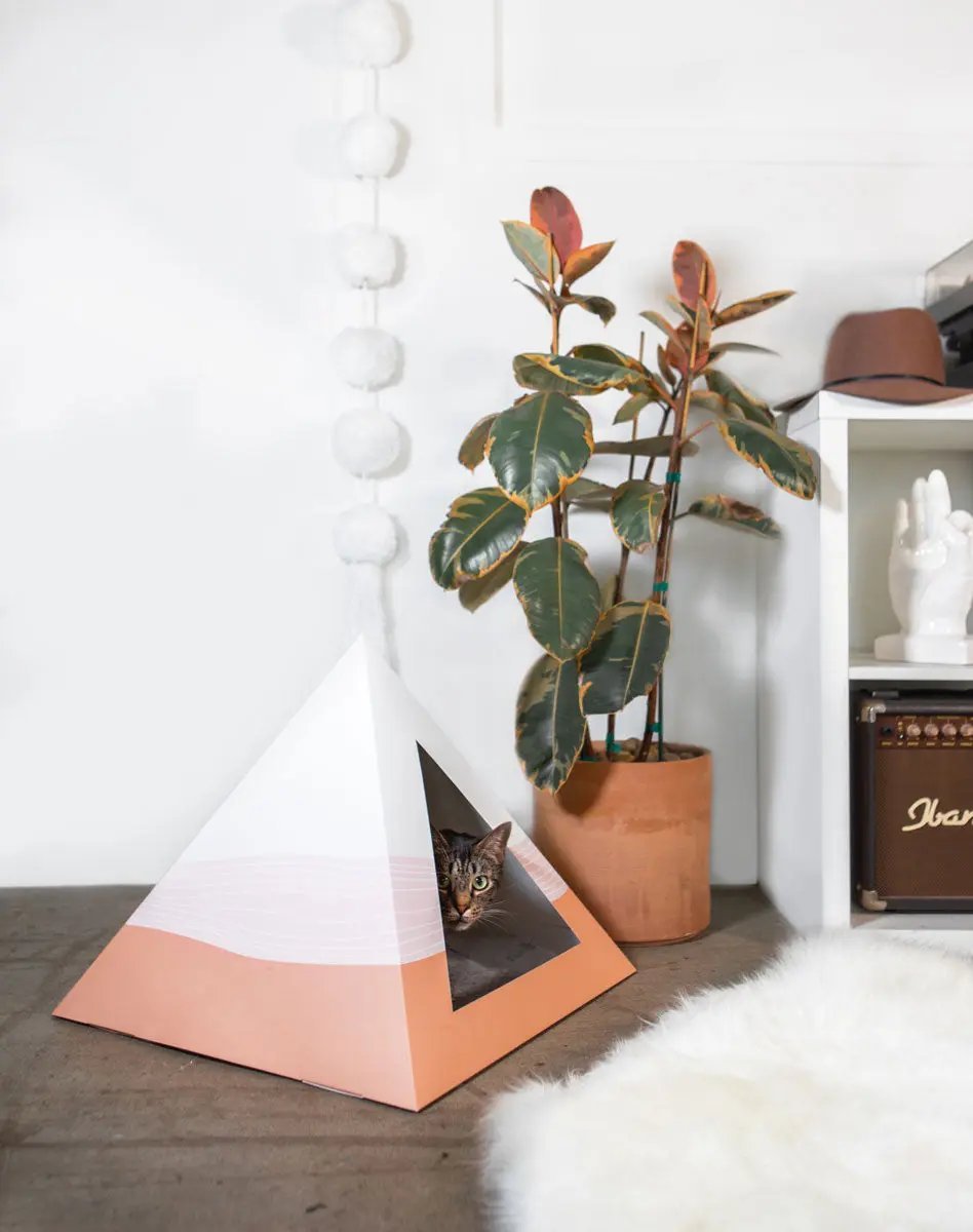 'Wavey' Cardboard Cat Pyramid - FloofChonk